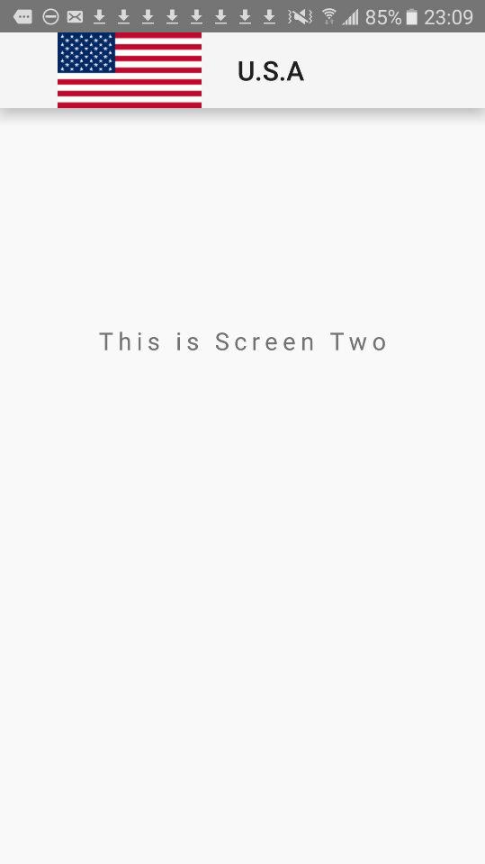 examole of cardview with customized appbar