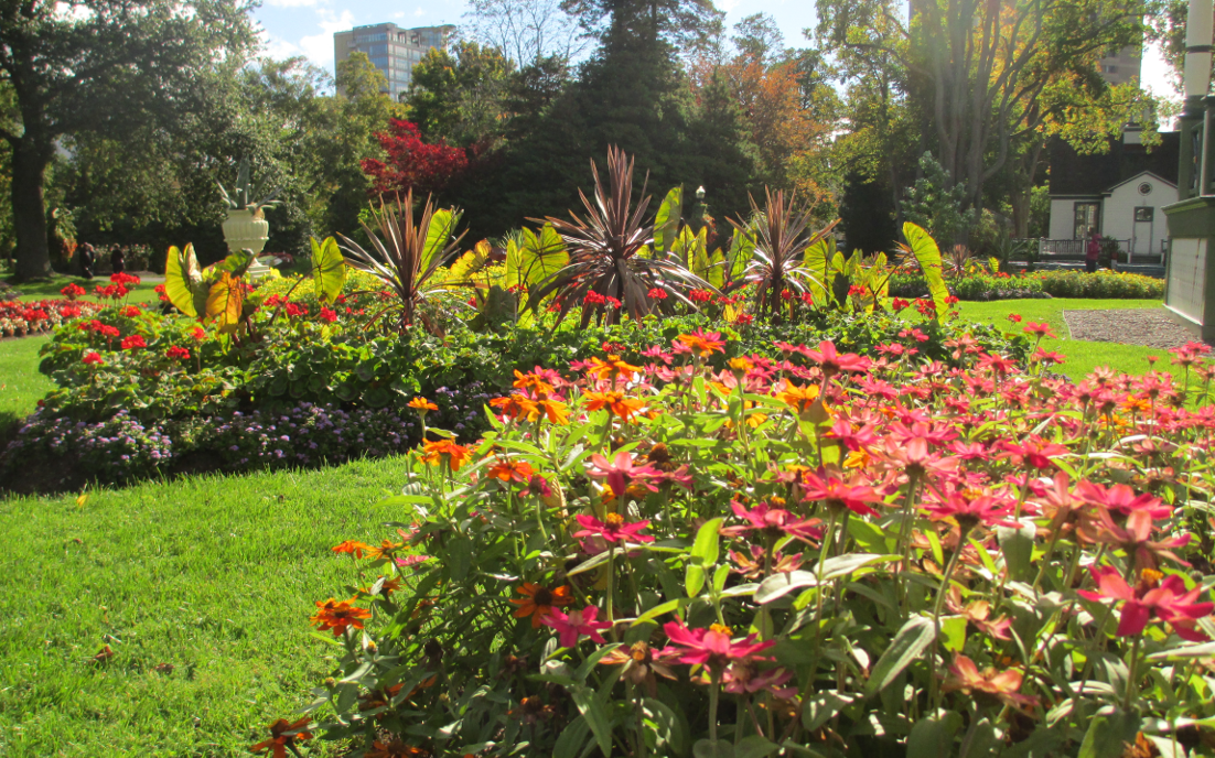 public gardens halifax